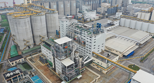 迈安德承建的中粮成都600吨精炼项目一次投产成功