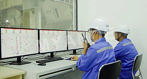 迈安德承建的路易达孚年加工96万吨智能榨油厂