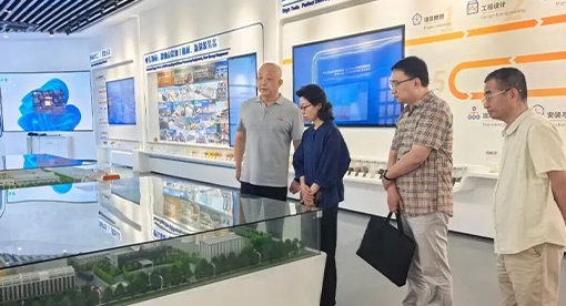 邗江生态环境局局长刘扬前往迈安德调研走访